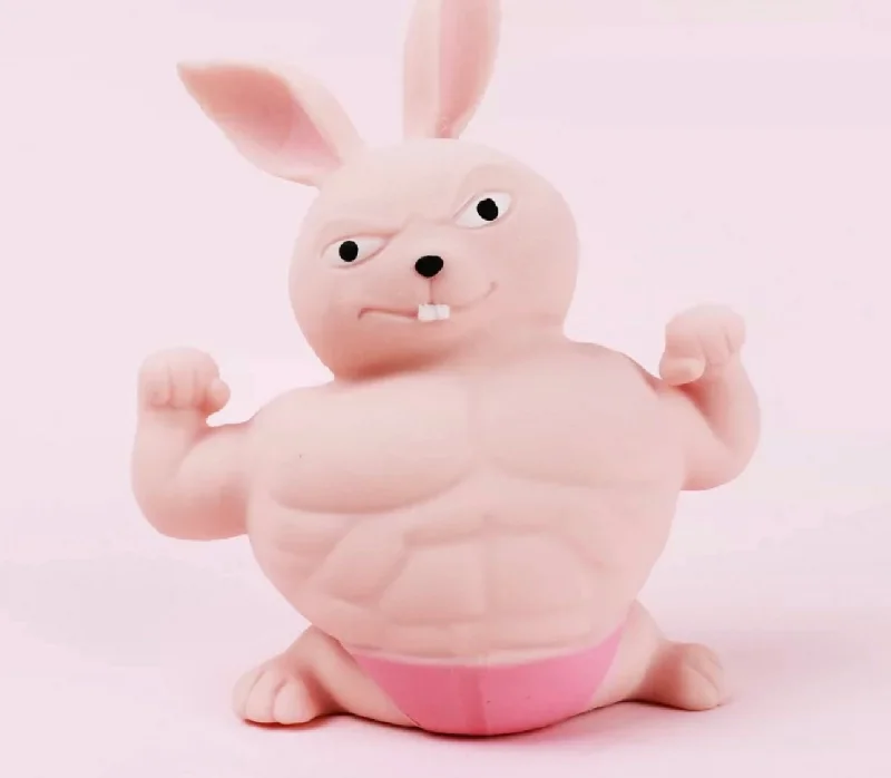 Kangaroo decompression toy, squeeze and release toy
