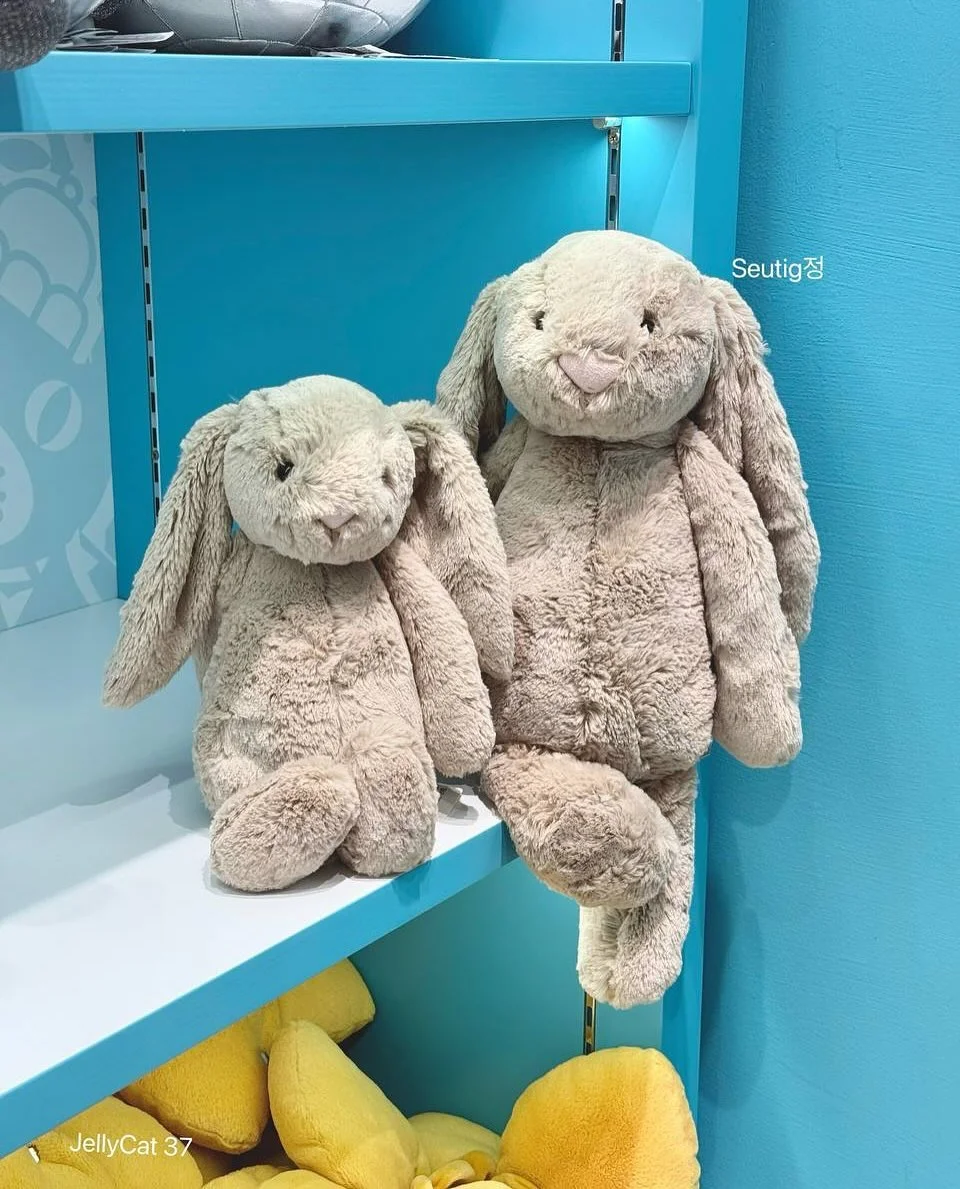 Ultra-Soft Bunny Plush Comfort Toy – High-Quality Stress Relief Cuddle Toy for Kids & Adults Ultra-Soft Bunny Plush Comfort Toy – High-Quality Stress Relief Cuddle Toy for Kids & Adults
