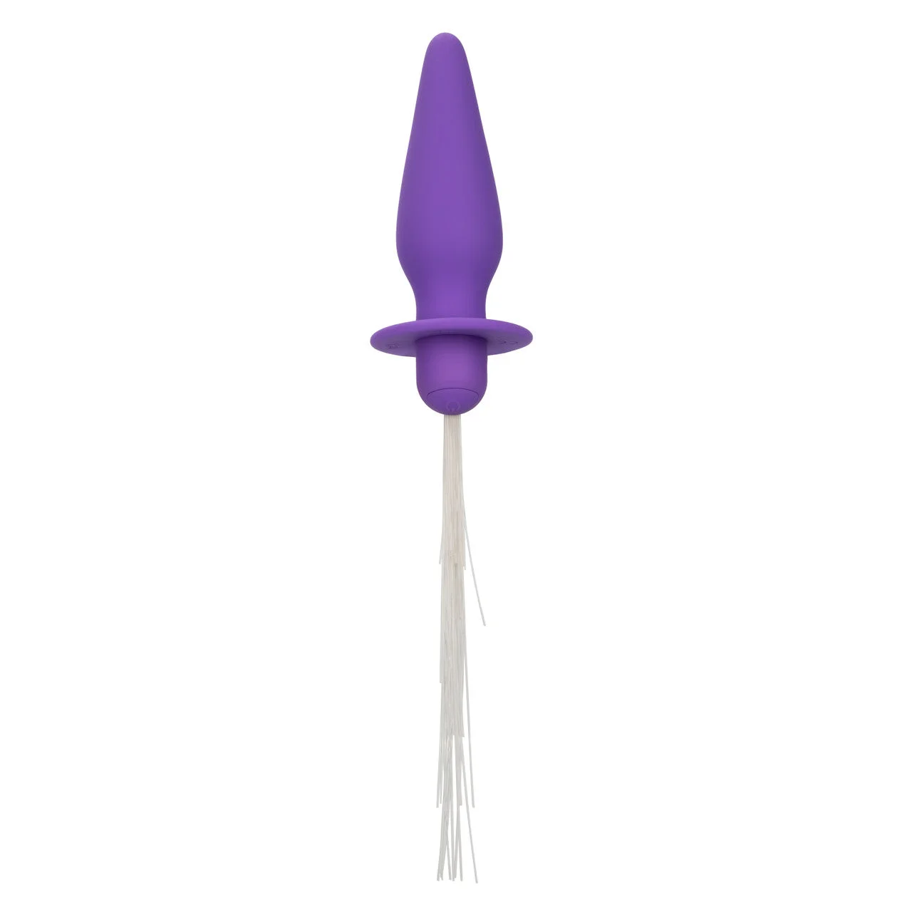SOUTHERN LIGHTS VIBRATING LIGHT UP ANAL PROBE PURPLE